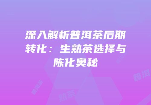深入解析普洱茶后期转化：生熟茶选择与陈化奥秘