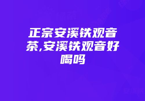 正宗安溪铁观音茶,安溪铁观音好喝吗