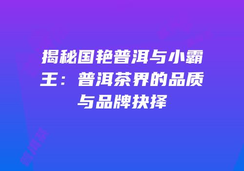 揭秘国艳普洱与小霸王：普洱茶界的品质与品牌抉择