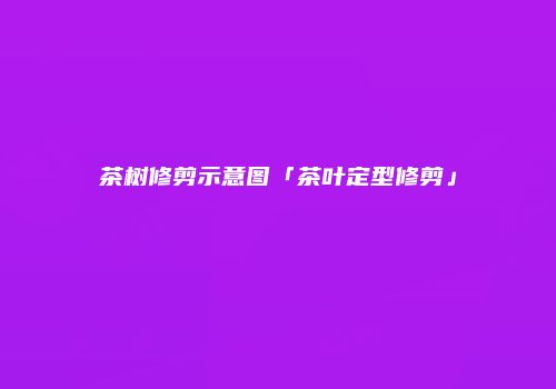 茶树修剪示意图「茶叶定型修剪」