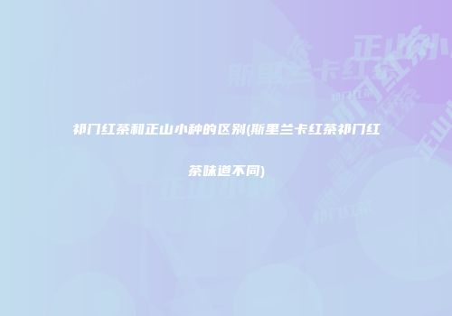 祁门红茶和正山小种的区别(斯里兰卡红茶祁门红茶味道不同)