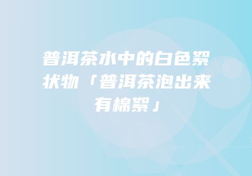 普洱茶水中的白色絮状物「普洱茶泡出来有棉絮」