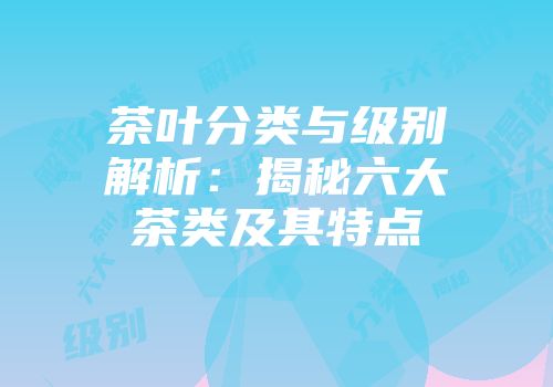 茶叶分类与级别解析：揭秘六大茶类及其特点