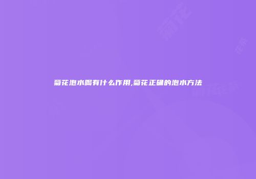 菊花泡水喝有什么作用,菊花正确的泡水方法