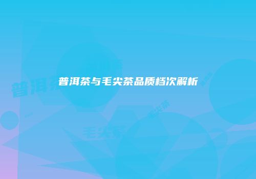 普洱茶与毛尖茶品质档次解析