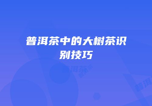 普洱茶中的大树茶识别技巧
