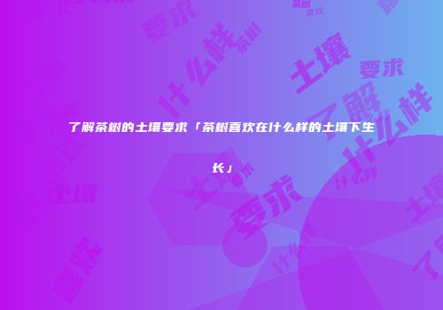 了解茶树的土壤要求「茶树喜欢在什么样的土壤下生长」