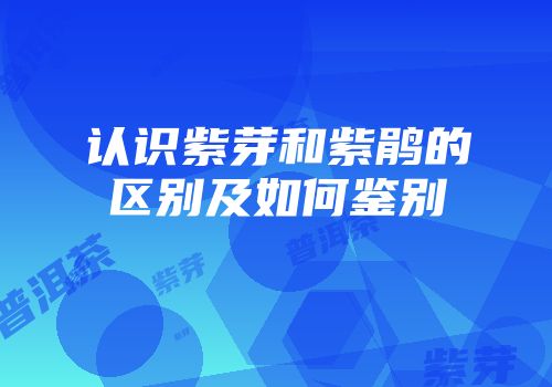 认识紫芽和紫鹃的区别及如何鉴别