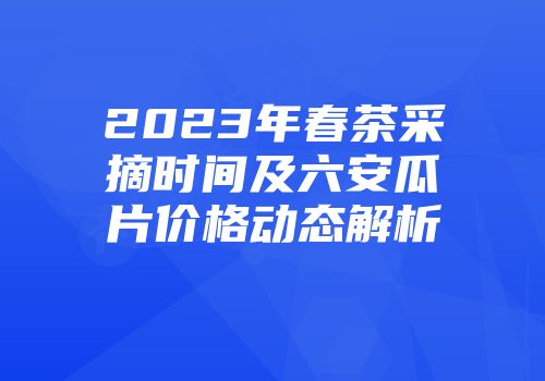 2023年春茶采摘时间及六安瓜片价格动态解析