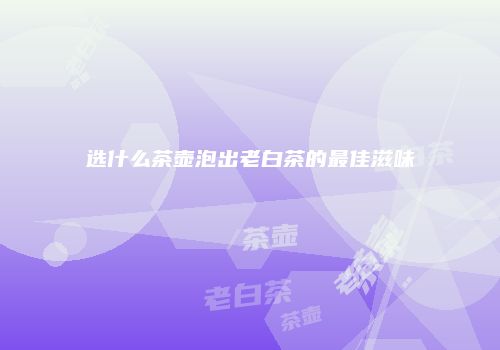 选什么茶壶泡出老白茶的最佳滋味