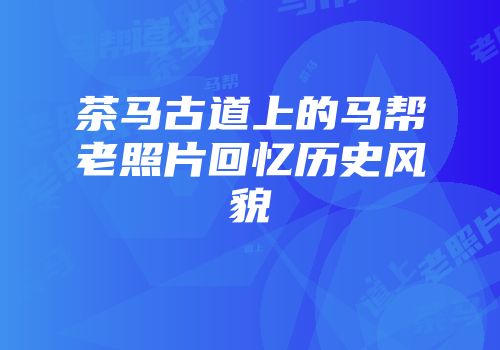 茶马古道上的马帮老照片回忆历史风貌