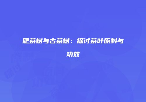 肥茶树与古茶树：探讨茶叶原料与功效