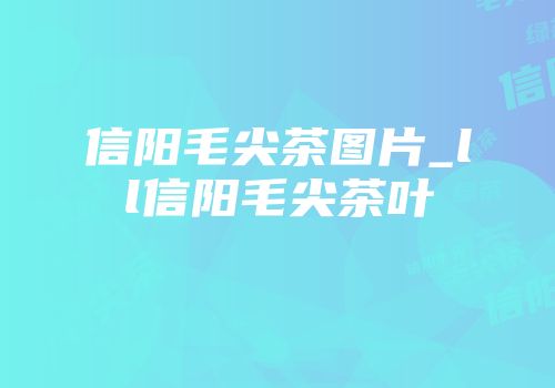 信阳毛尖茶图片_ll信阳毛尖茶叶