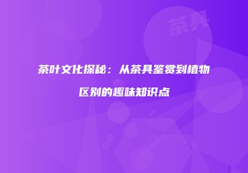 茶叶文化探秘：从茶具鉴赏到植物区别的趣味知识点