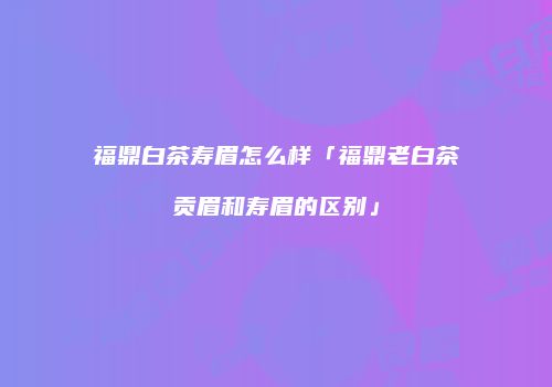 福鼎白茶寿眉怎么样「福鼎老白茶贡眉和寿眉的区别」