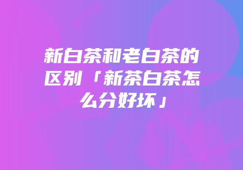 新白茶和老白茶的区别「新茶白茶怎么分好坏」