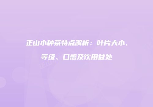 正山小种茶特点解析：叶片大小、等级、口感及饮用益处