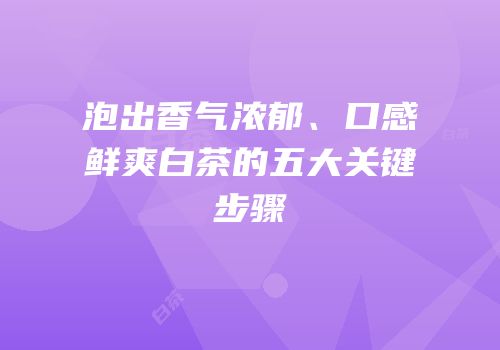 泡出香气浓郁、口感鲜爽白茶的五大关键步骤