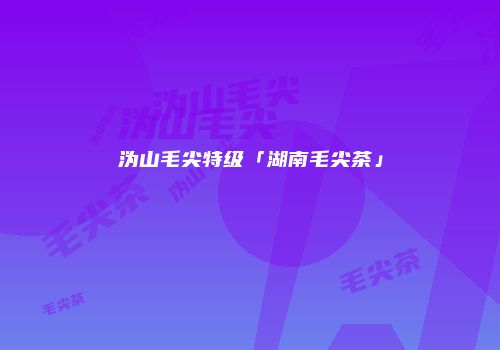沩山毛尖特级「湖南毛尖茶」