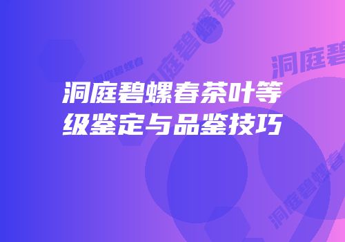 洞庭碧螺春茶叶等级鉴定与品鉴技巧