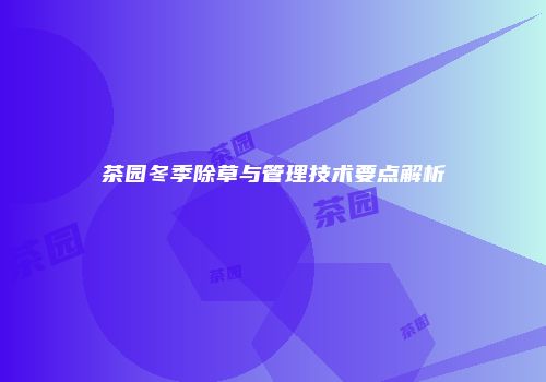 茶园冬季除草与管理技术要点解析