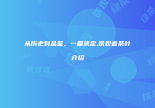 从历史到品鉴，一篇搞定,铁观音茶叶介绍