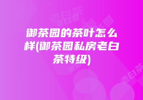 御茶园的茶叶怎么样(御茶园私房老白茶特级)