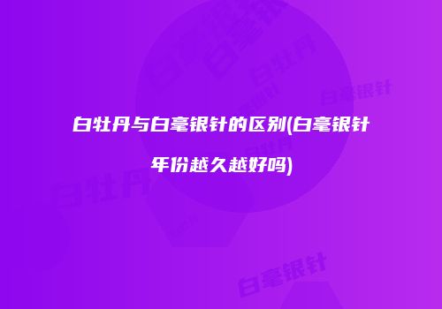白牡丹与白毫银针的区别(白毫银针年份越久越好吗)