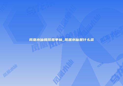 凤凰水仙和凤凰单枞_凤凰水仙是什么茶