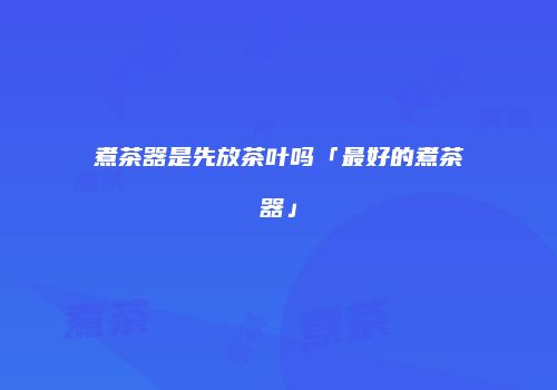 煮茶器是先放茶叶吗「最好的煮茶器」
