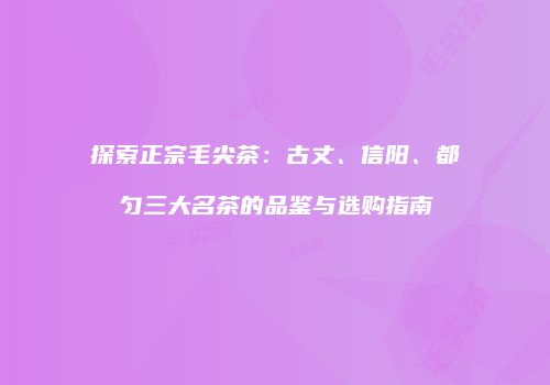 探索正宗毛尖茶：古丈、信阳、都匀三大名茶的品鉴与选购指南
