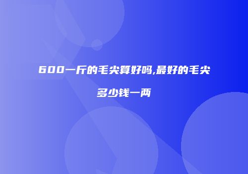 600一斤的毛尖算好吗,最好的毛尖多少钱一两