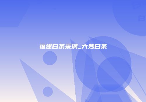 福建白茶采摘_六妙白茶