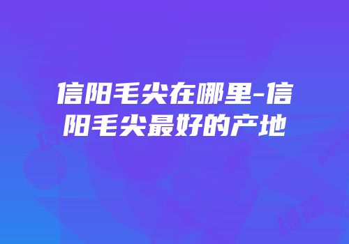 信阳毛尖在哪里-信阳毛尖最好的产地