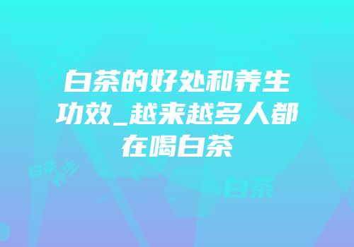 白茶的好处和养生功效_越来越多人都在喝白茶