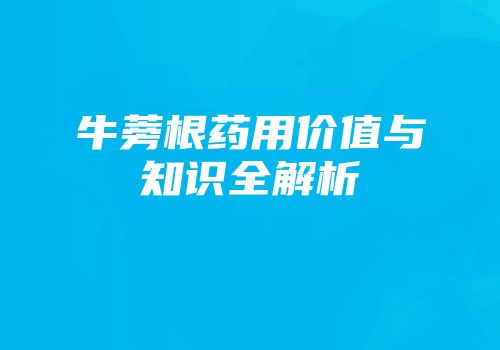 牛蒡根药用价值与知识全解析