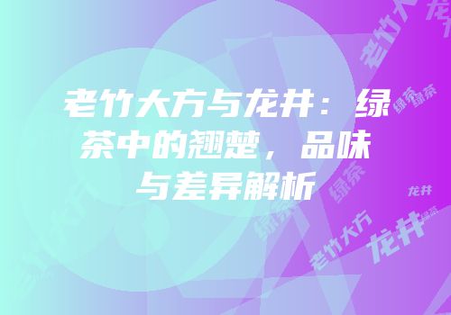 老竹大方与龙井：绿茶中的翘楚，品味与差异解析