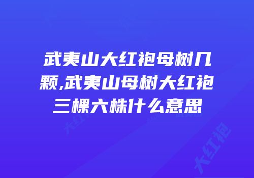 武夷山大红袍母树几颗,武夷山母树大红袍三棵六株什么意思