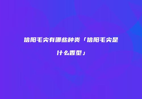 信阳毛尖有哪些种类「信阳毛尖是什么香型」