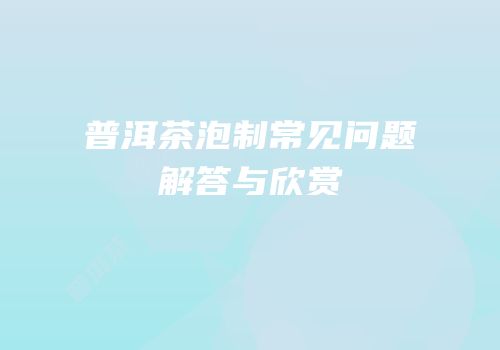 普洱茶泡制常见问题解答与欣赏
