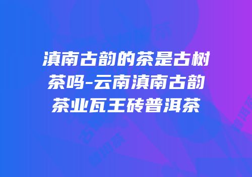 滇南古韵的茶是古树茶吗-云南滇南古韵茶业瓦王砖普洱茶