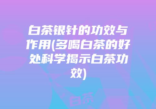 白茶银针的功效与作用(多喝白茶的好处科学揭示白茶功效)