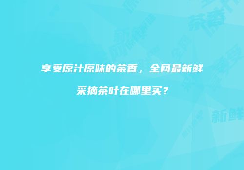 享受原汁原味的茶香，全网最新鲜采摘茶叶在哪里买？