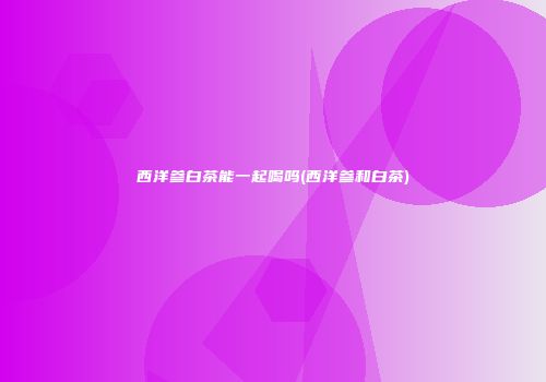西洋参白茶能一起喝吗(西洋参和白茶)