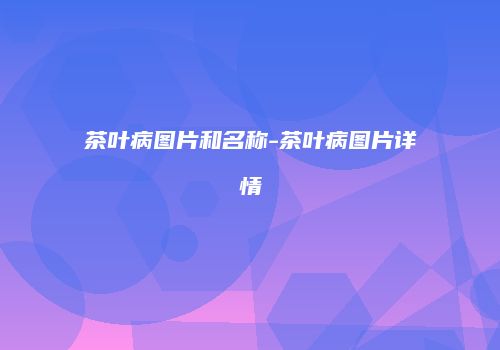 茶叶病图片和名称-茶叶病图片详情