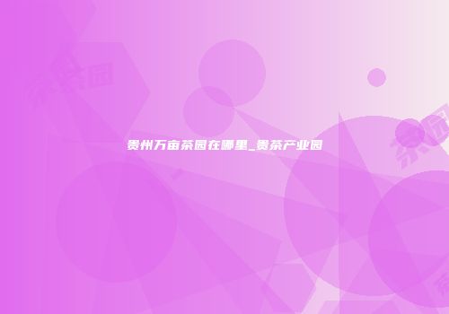 贵州万亩茶园在哪里_贵茶产业园