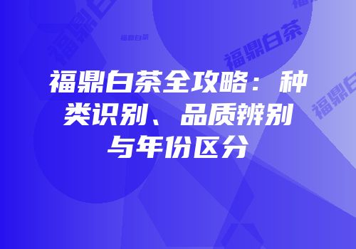 福鼎白茶全攻略：种类识别、品质辨别与年份区分