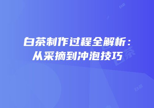 白茶制作过程全解析：从采摘到冲泡技巧