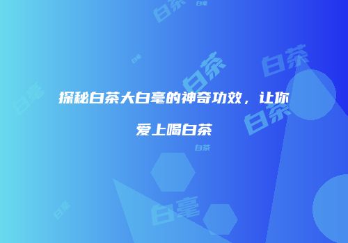 探秘白茶大白毫的神奇功效，让你爱上喝白茶