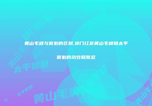 黄山毛峰与猴魁的区别,祁门红茶黄山毛峰和太平猴魁的功效和禁忌